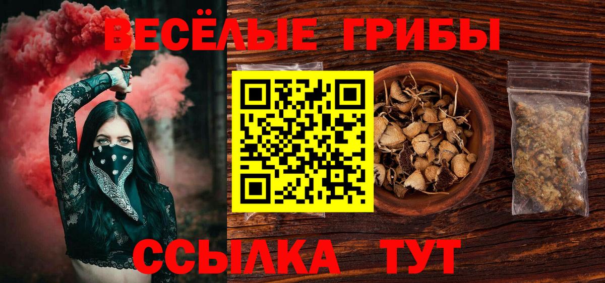 Белебей  Псилоцибиновые грибы GOLDEN TEACHER  Вход с VPN 