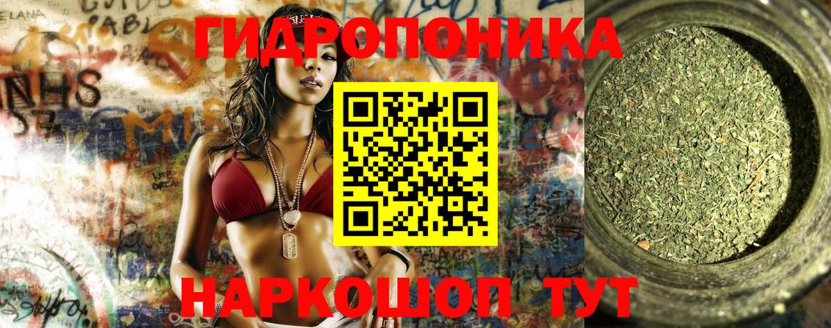 Бошки марихуана VHQ  Вход с VPN  Бошки Шишки Amnesia  Белебей  Канабис сатива 